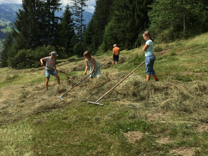 Bergheuet. Foto: Familie Schletti