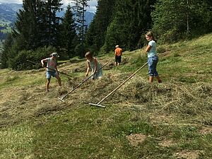 Bergheuet. Foto: Familie Schletti