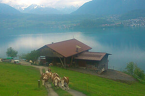 Heimbetrieb der Familie Kämpf oberhalb des Thunersees. Foto: Familie Kämpf.