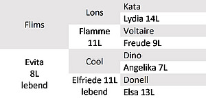 Abstammung Bio-KB-Stier Enyo. Grafik: FiBL