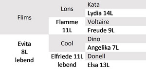 Abstammung Bio-KB-Stier Enyo. Grafik: FiBL