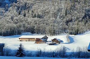 Der Betrieb Reitimatt im Winter. Foto: Familie Hefti.