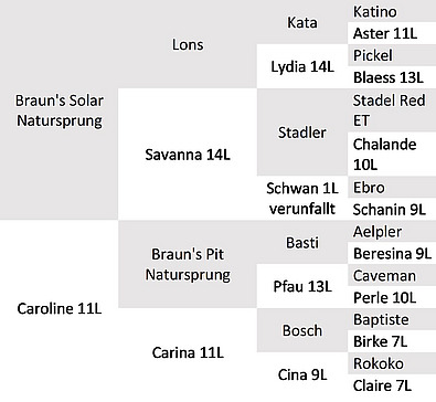 Abstammung Bio-KB-Stier Caro