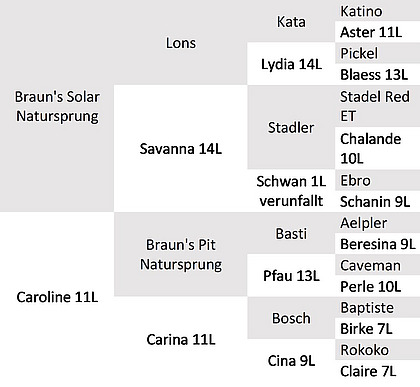 Abstammung Bio-KB-Stier Caro