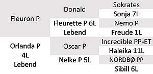 Tabellarische Abstammungsdaten von Bio-KB-Stier Farmer.
