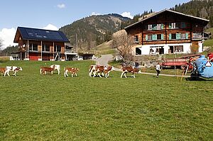 Der Betrieb in Zweisimmen. Foto: Familie Schletti