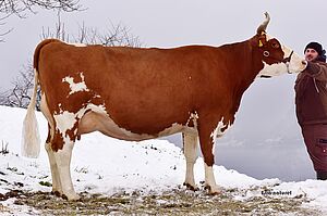 Enyos Grossmutter Donell Elfriede. Foto: Esra naturel.