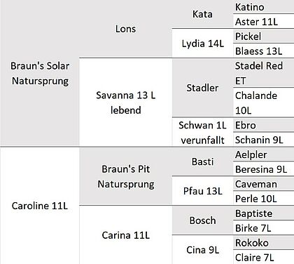 Abstammung Bio-KB-Stier Caro