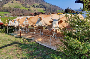 Hofschau in Reichenbach. Foto: Familie Dubach