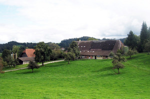 Die beiden Ställe und die arrondierten Weiden. Foto: Familie Biegger